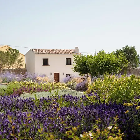 Quinta San Francisco Отель