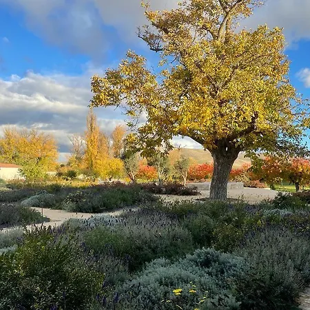 Отель Quinta San Francisco 4*