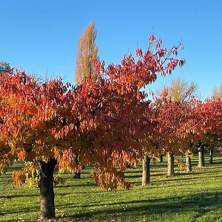 Отель Quinta San Francisco