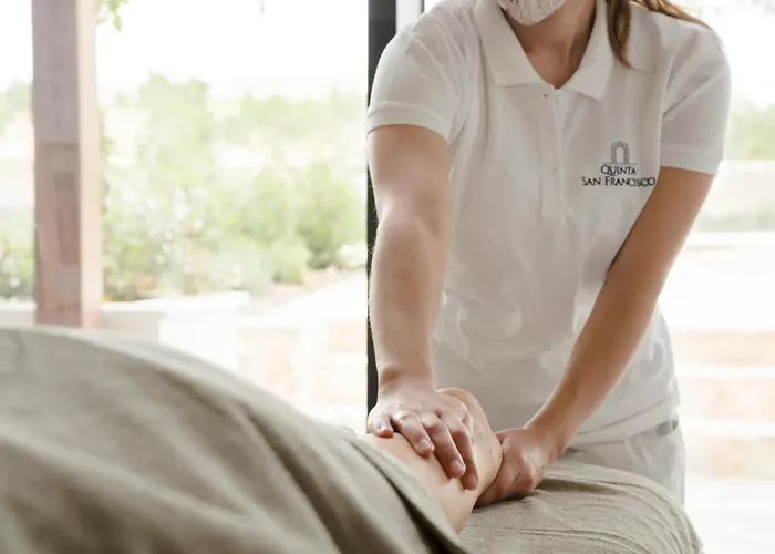 호텔 Quinta San Francisco 카스트로헤리츠