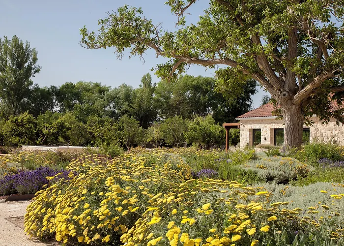 Quinta San Francisco 호텔 카스트로헤리츠