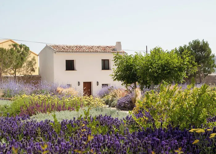 Quinta San Francisco 호텔