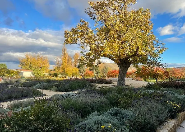 호텔 Quinta San Francisco 4*